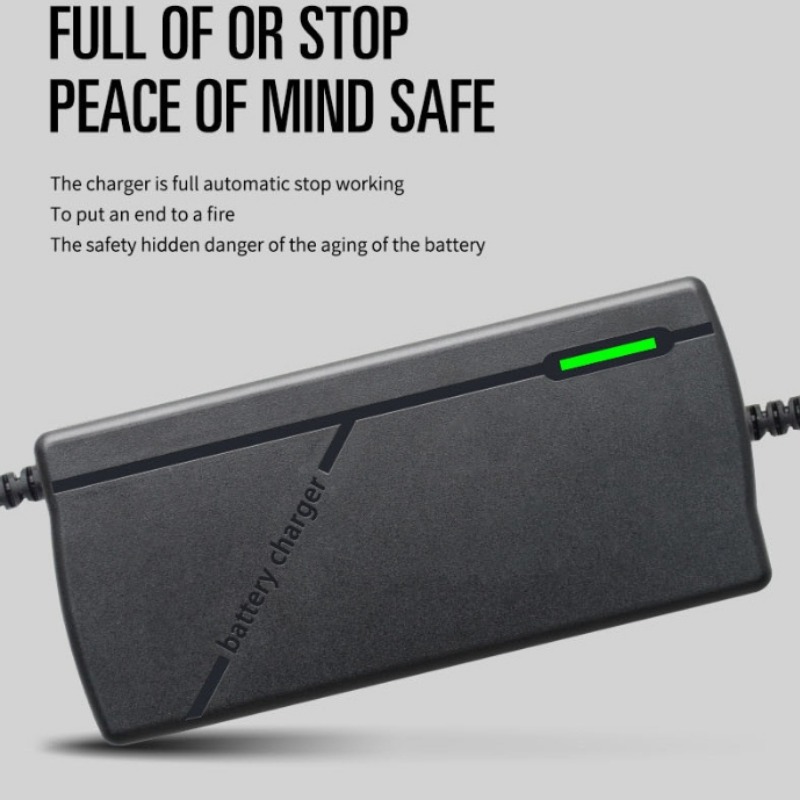 HD 73V 5A Smart 20S LED Li-ion - Electric Scooter Charger 评论和价格