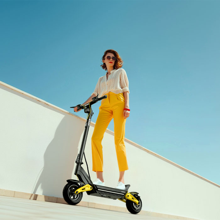 EU Stock C-Type Damping Dual S - Folding Electric Scooter 评论和价格
